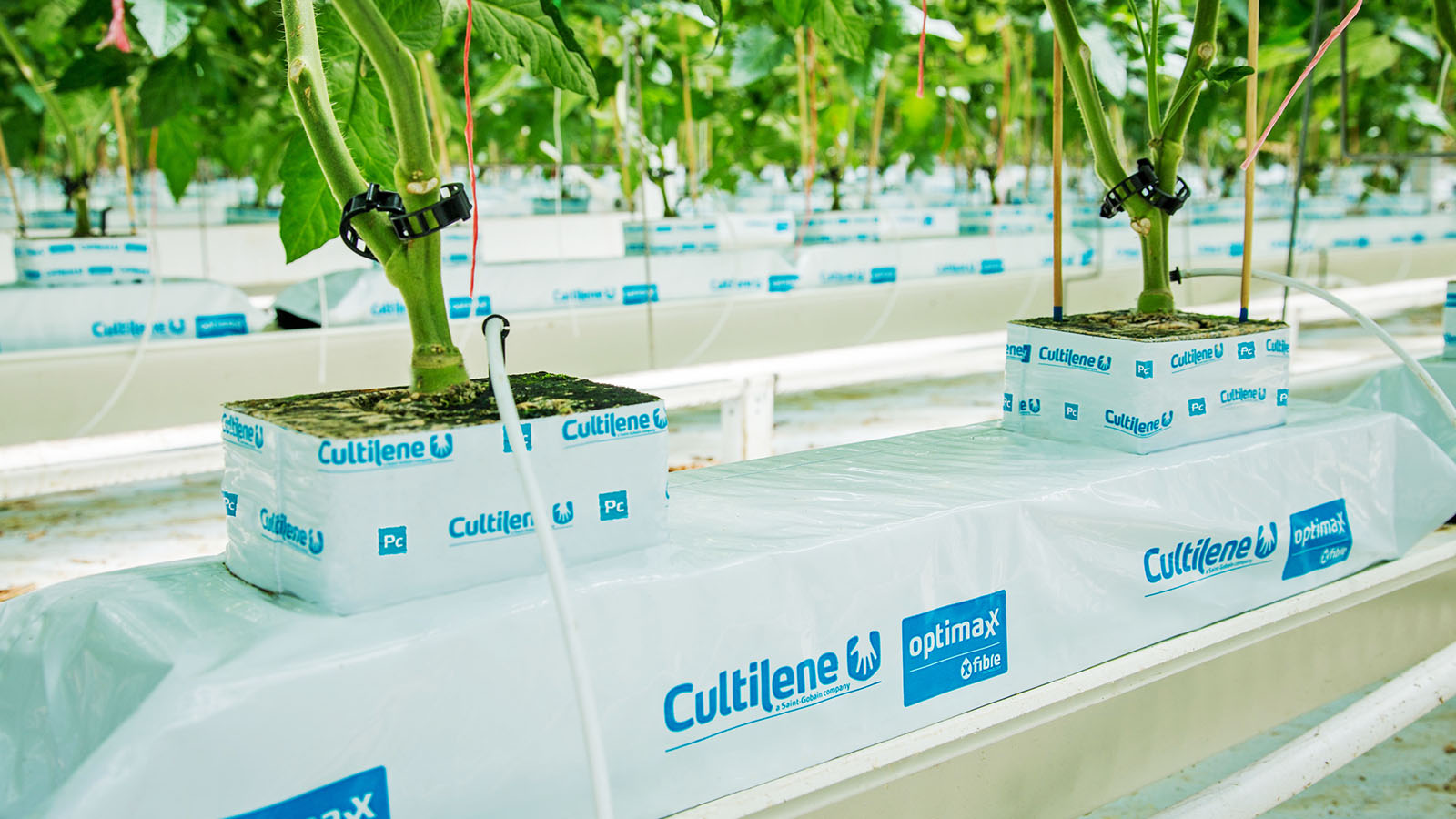 대영지에스 - DYGS